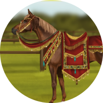 Statte dein virtuelles Pferd im Online-Pferdespiel My Horsez aus