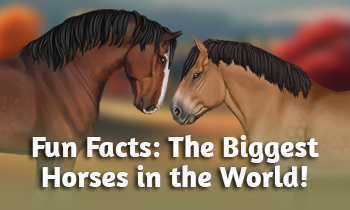 Fun facts: The Biggest Horses in the World!