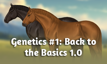 Genetics #1: Back to the Basics 1.0