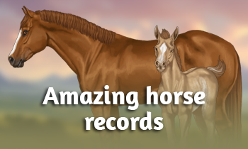 Amazing horse records