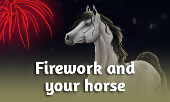 Firework and your horse