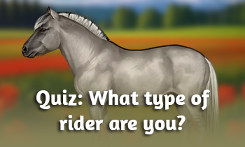 Quiz: What type of rider are you? (Funny edition)