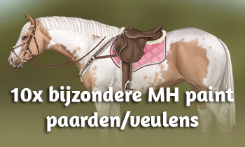 10x bijzondere MH paint paarden/veulens