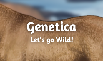 Geneticablog #10B: Let's go Wild!