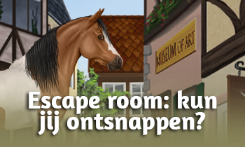Escape room: kun jij ontsnappen?