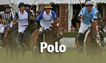 Discipline in de spotlight: Polo