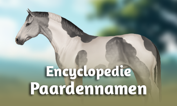 Encyclopedie: Paardennamen