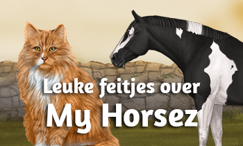 Leuke feitjes over My Horsez