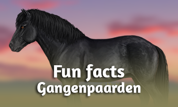 Fun Facts: Gangenpaarden