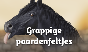 Grappige feitjes over paarden