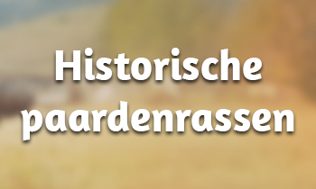 Historische paardenrassen