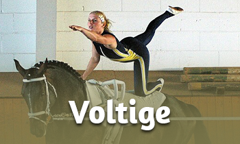 Wat is voltige?