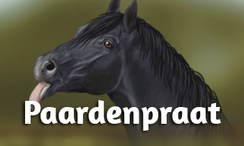 Fun Facts: Paardenpraat