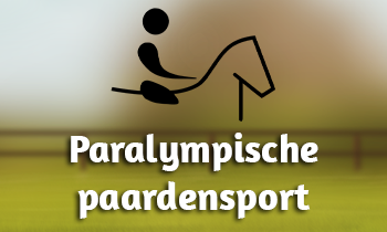 Paralympische paardensport