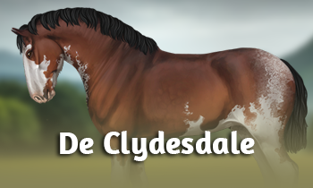 Ras in de spotlight: De Clydesdale