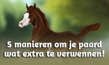 5 manieren om je paard wat extra te verwennen!