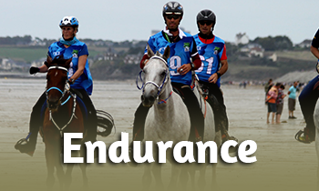 Discipline in de spotlight: Endurance