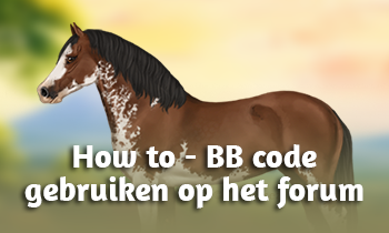 How to - BB code gebruiken