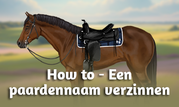 How to - Een paardennaam verzinnen