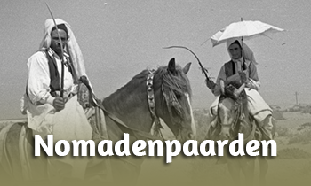 Fun Facts: Nomadenpaarden