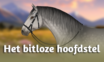 Het bitloze hoofdstel