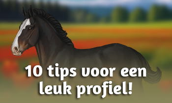 10 tips voor een leuk profiel