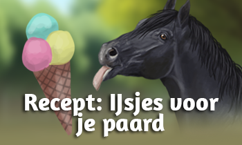 Recept: IJsjes voor je paard