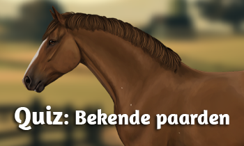 Quiz: Bekende paarden