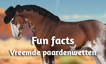 Fun Facts: Vreemde paardenwetten