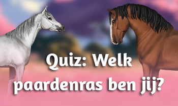 Quiz: Welk paardenras ben jij?