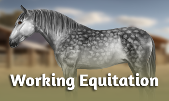 Discipline in de spotlight: Working Equitation