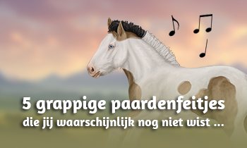 5 grappige paardenfeitjes die jij waarschijnlijk nog niet wist!