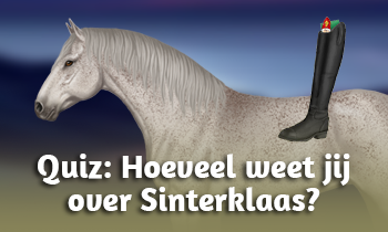 Quiz: Hoeveel weet jij over Sinterklaas?