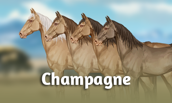 Geneticablog #13A: Champagne