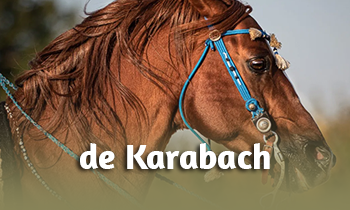 Ras in de Spotlight: de Karabach