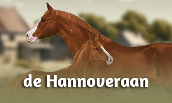 Ras in de Spotlight: de Hannoveraan