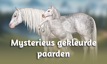 Geneticablog #14: Mysterieus gekleurde paarden