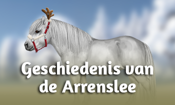 Geschiedenis van de Arrenslee