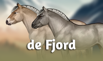 Ras in de Spotlight: de Fjord